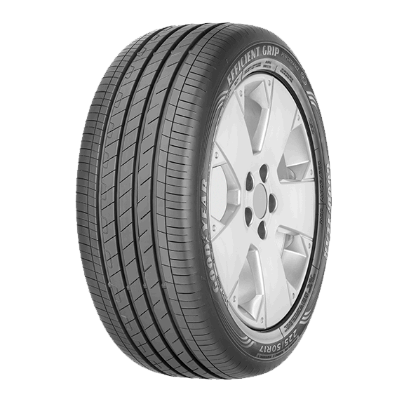 Lốp Goodyear 205/55R17 EFFICIENTGRIP PERF